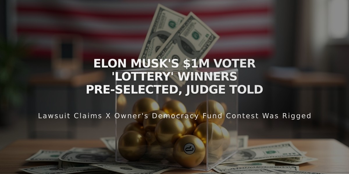 Elon Musk's $1M Voter 'Lottery' Winners Pre-Selected, Judge Told