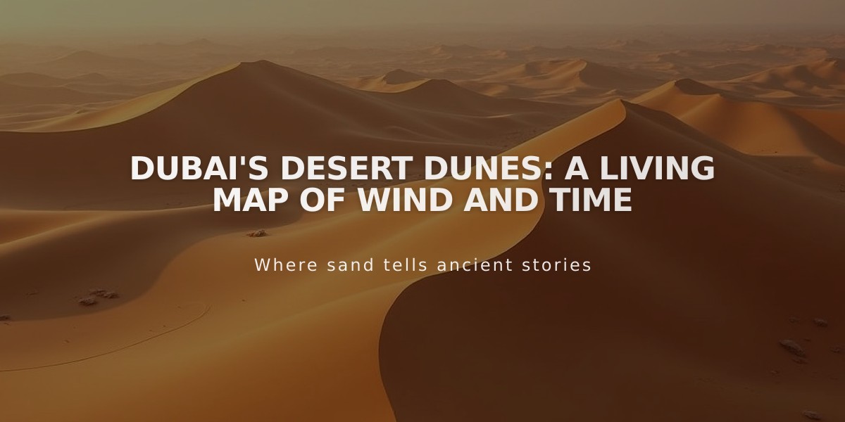 Dubai's Desert Dunes: A Living Map of Wind and Time