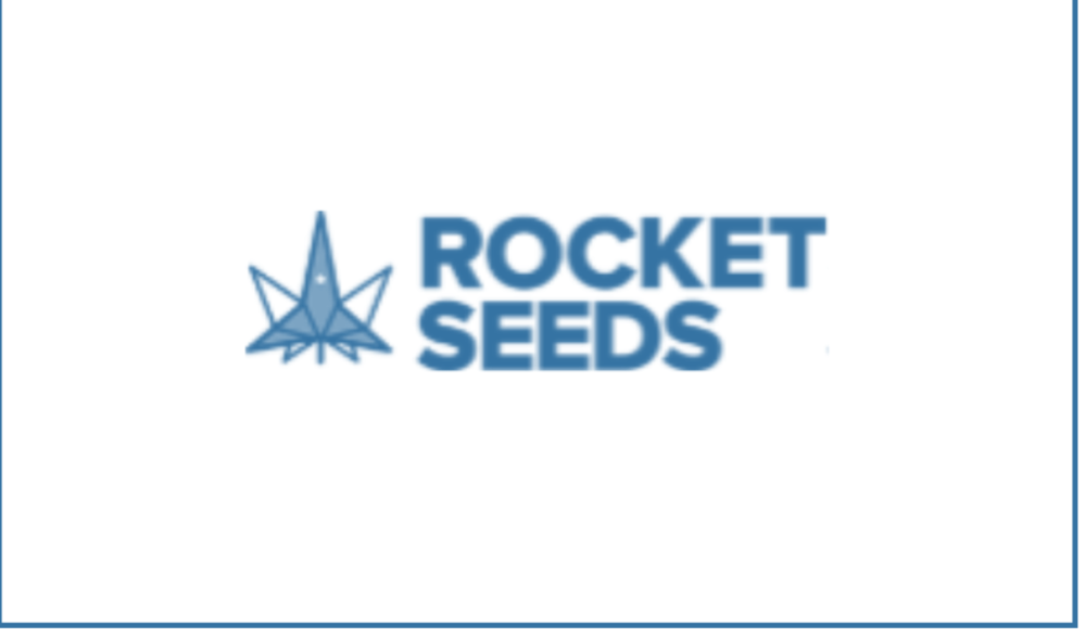 Rocket Seeds logo with stylized spacecraft