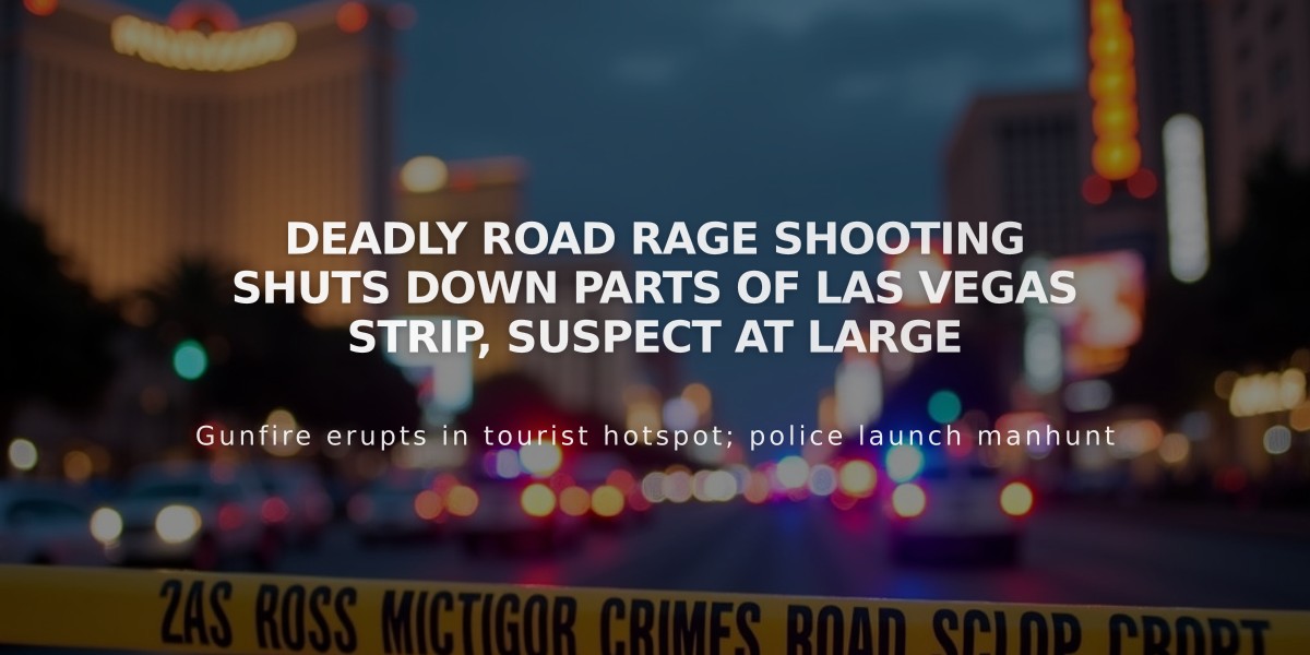 Deadly Road Rage Shooting Shuts Down Parts of Las Vegas Strip, Suspect at Large