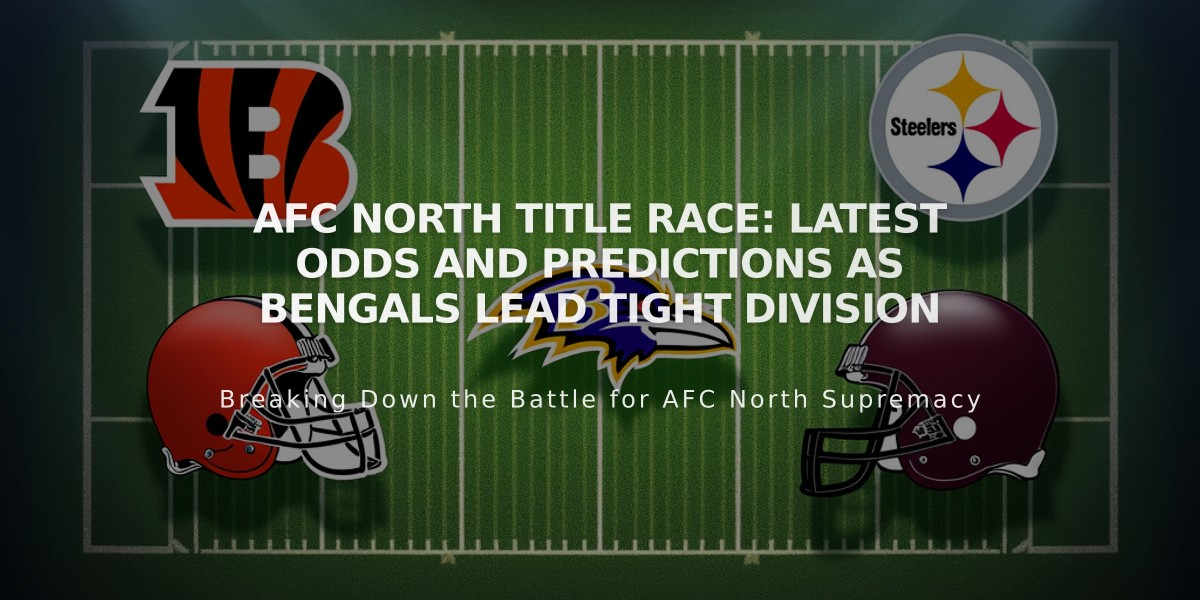 AFC North Title Race: Latest Odds and Predictions as Bengals Lead Tight Division