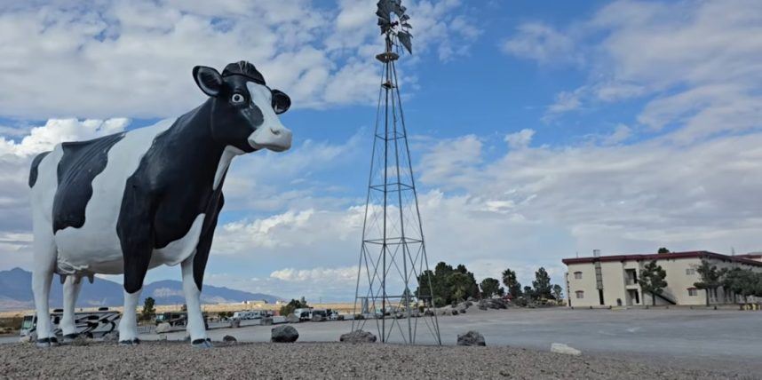 Giant cow sculpture beside desert windmill