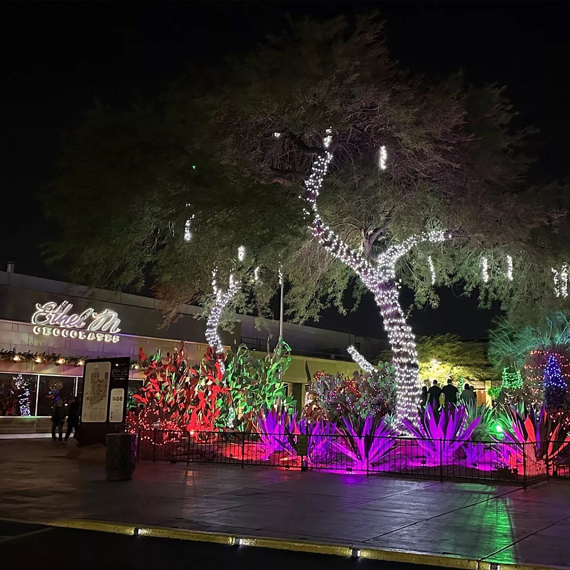 Illuminated holiday display at Ethel M