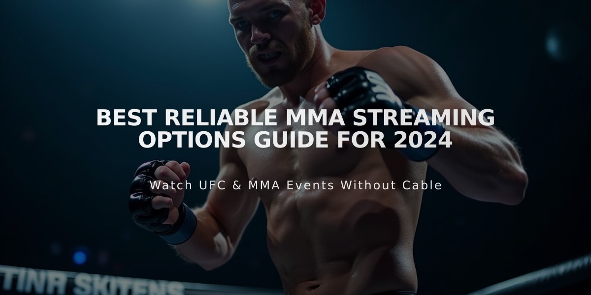 Best Reliable MMA Streaming Options Guide for 2024