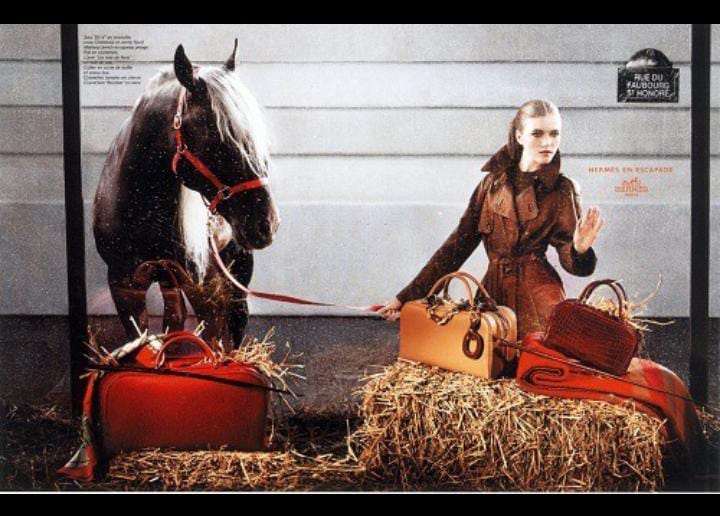 Woman standing beside brown horse