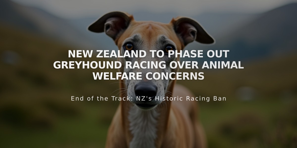 New Zealand to Phase Out Greyhound Racing Over Animal Welfare Concerns