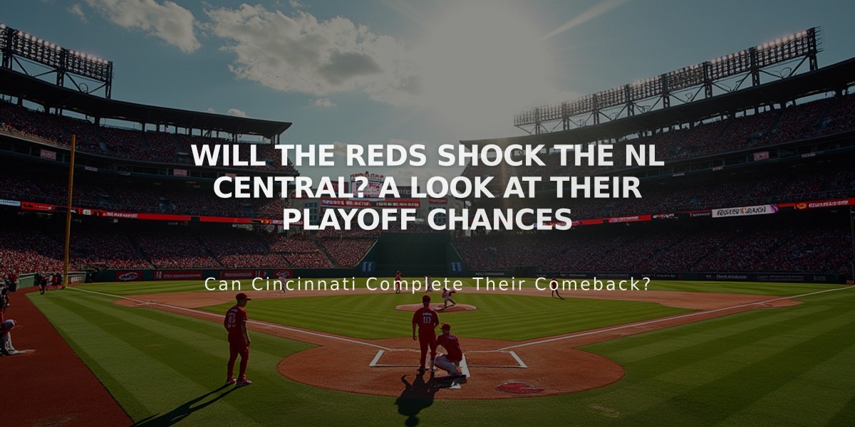 Will the Reds Shock the NL Central? A Look at Their Playoff Chances