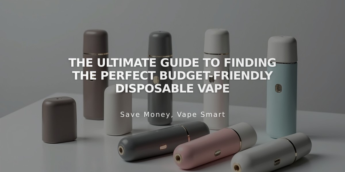 The Ultimate Guide to Finding the Perfect Budget-Friendly Disposable Vape