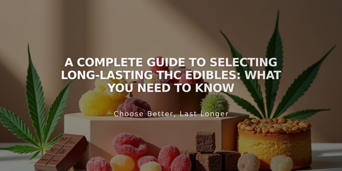 A Complete Guide to Selecting Long-Lasting THC Edibles: What You Need to Know