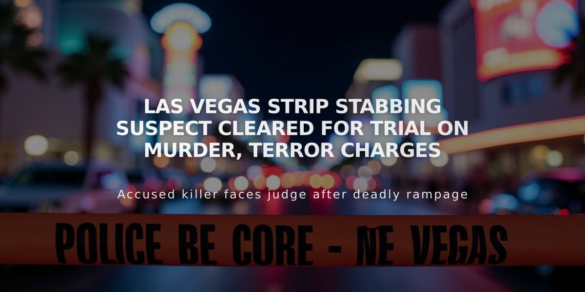 Las Vegas Strip Stabbing Suspect Cleared for Trial on Murder, Terror Charges