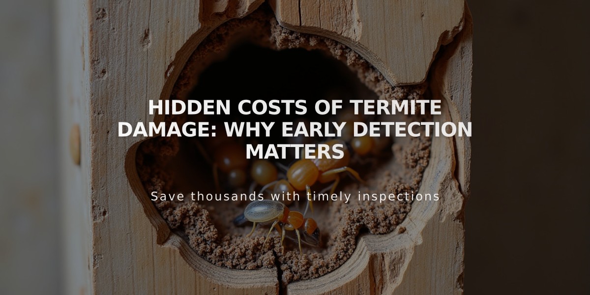 Hidden Costs of Termite Damage: Why Early Detection Matters