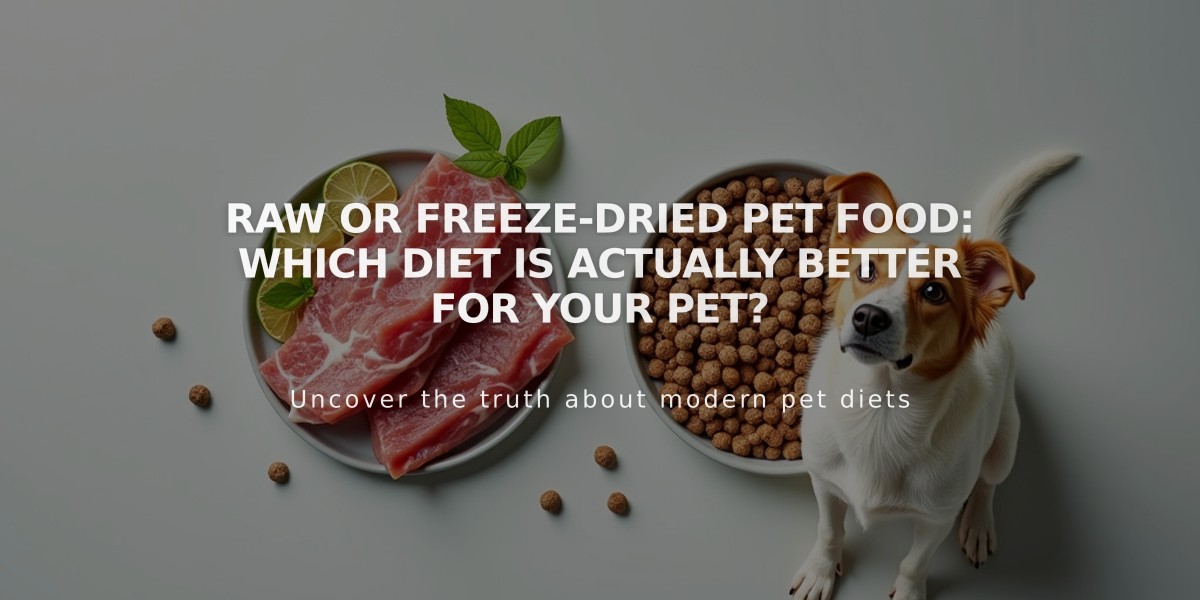 Raw or Freeze-Dried Pet Food: Which Diet Is Actually Better for Your Pet?