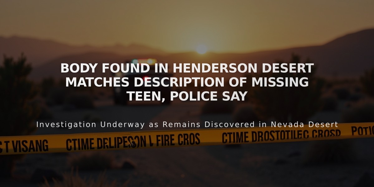 Body Found in Henderson Desert Matches Description of Missing Teen, Police Say