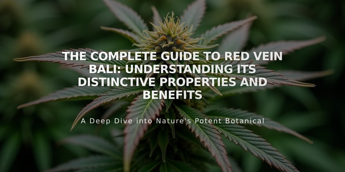 The Complete Guide to Red Vein Bali: Understanding Its Distinctive Properties and Benefits