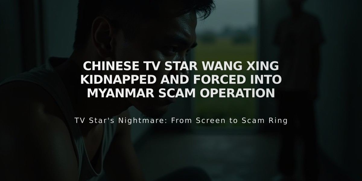 Chinese TV Star Wang Xing Kidnapped and Forced into Myanmar Scam Operation