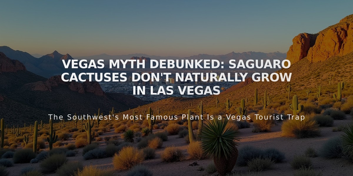 VEGAS MYTH DEBUNKED: Saguaro Cactuses Don't Naturally Grow in Las Vegas