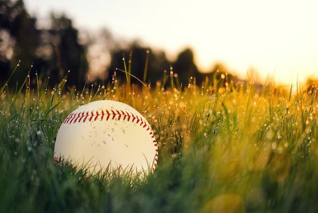 Baseball lying on spring grass