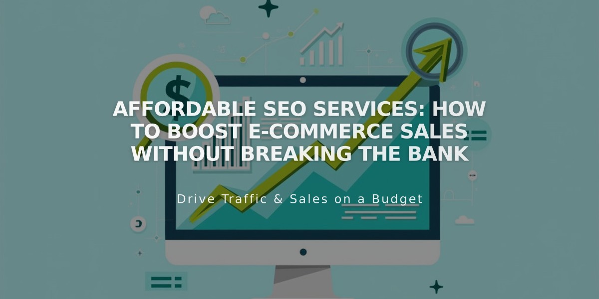 Affordable SEO Services: How to Boost E-Commerce Sales Without Breaking the Bank