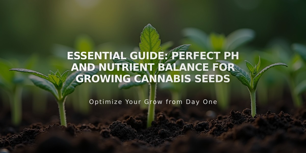 Essential Guide: Perfect pH and Nutrient Balance for Growing Cannabis Seeds