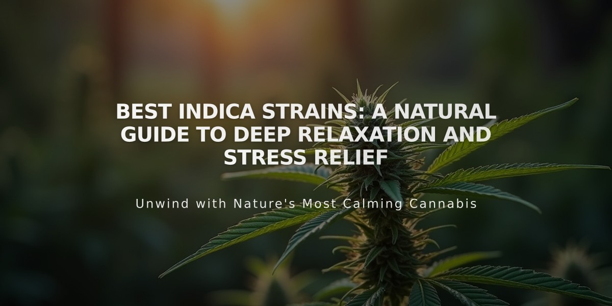 Best Indica Strains: A Natural Guide to Deep Relaxation and Stress Relief