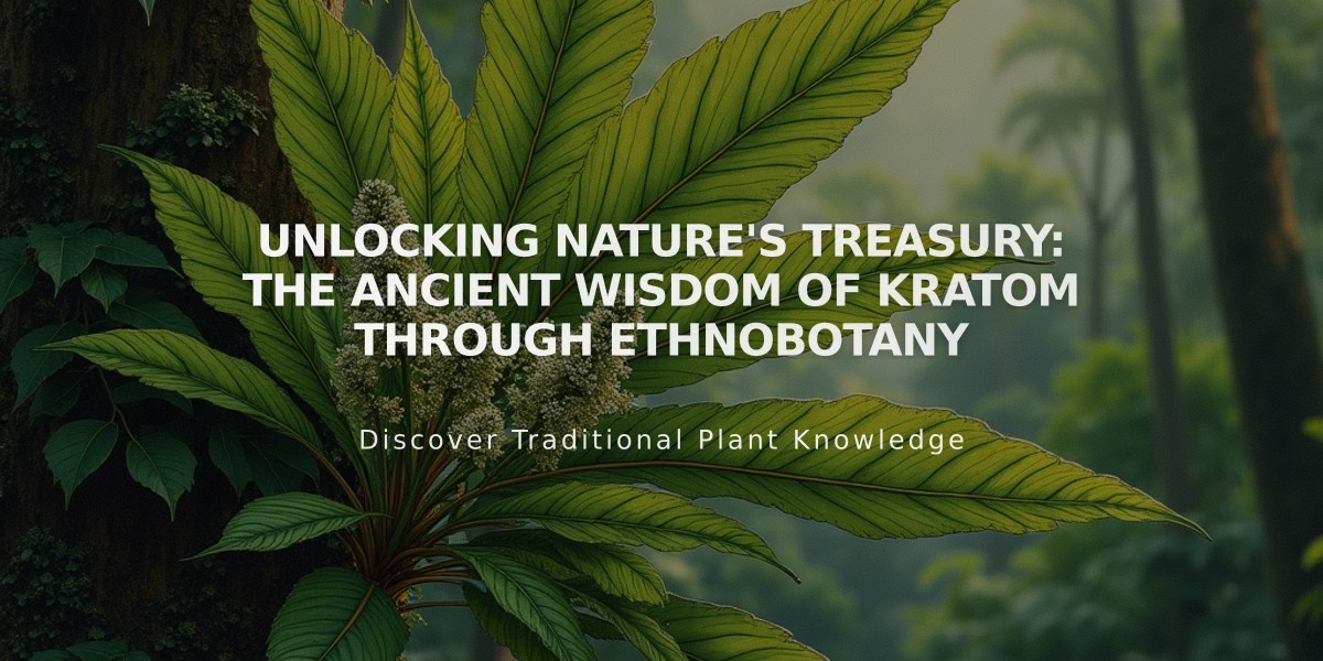 Unlocking Nature's Treasury: The Ancient Wisdom of Kratom Through Ethnobotany