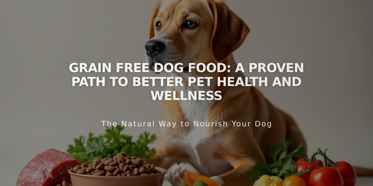 Grain Free Dog Food: A Proven Path to Better Pet Health and Wellness