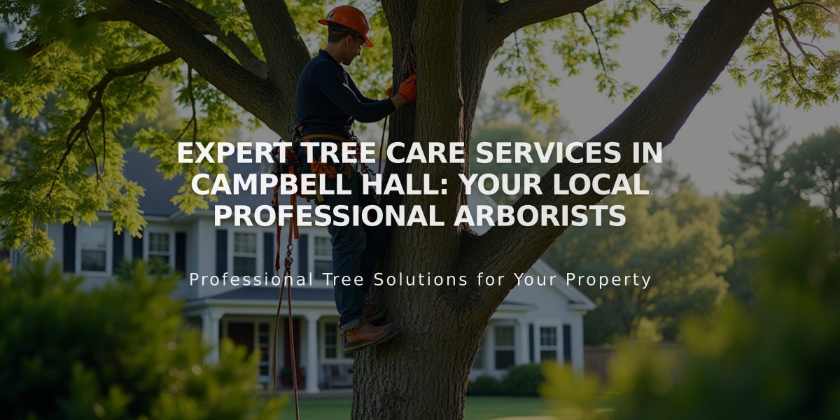 Expert Tree Care Services in Campbell Hall: Your Local Professional Arborists