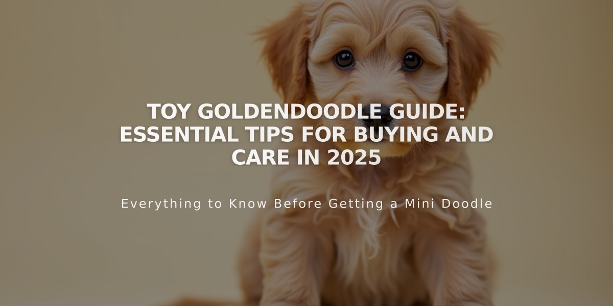 Toy Goldendoodle Guide: Essential Tips for Buying and Care in 2025