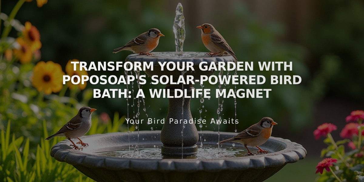 Transform Your Garden with Poposoap's Solar-Powered Bird Bath: A Wildlife Magnet