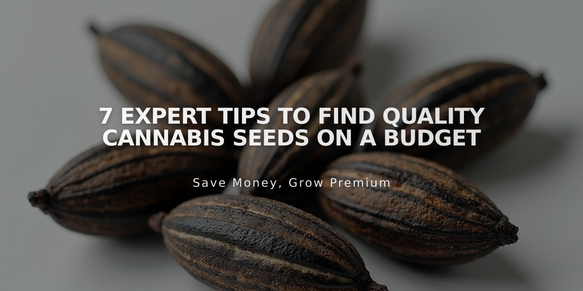 7 Expert Tips to Find Quality Cannabis Seeds on a Budget