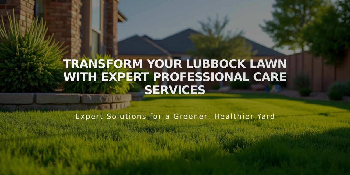 Transform Your Lubbock Lawn with Expert Professional Care Services